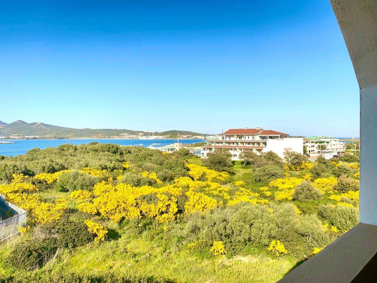 Homey Experience - Navy Sea View Apartments Olbia Dış mekan fotoğraf
